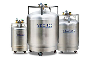 輸送鏈條的構造是如何形成的呢